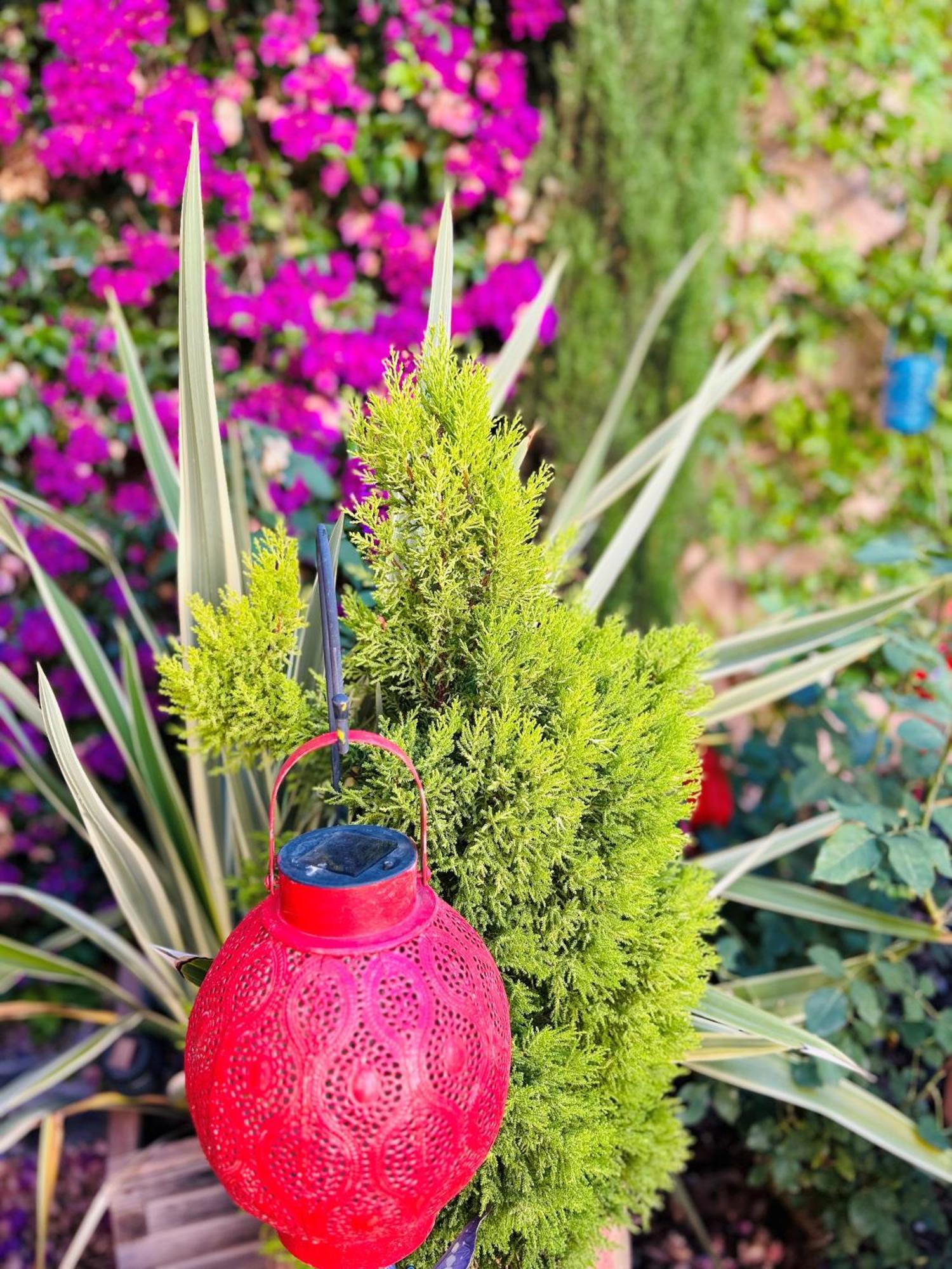 Pinoso Boutique B&B Suite At Casa Grande المظهر الخارجي الصورة